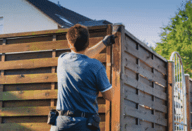 Fence Painting